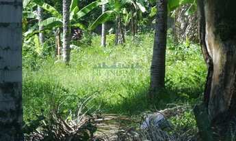 Imagem 2: Rio de Janeiro - Terreno Padrão - Vargem Pequena