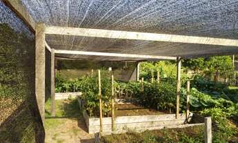 Imagem 6: Pequeno Paraíso