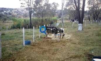 Imagem 5: PEDRO LEOPOLDO - Sítio - Lagoa Santo Antonio