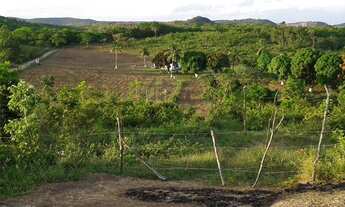Imagem 4: Vendo fazenda em Dias Davila