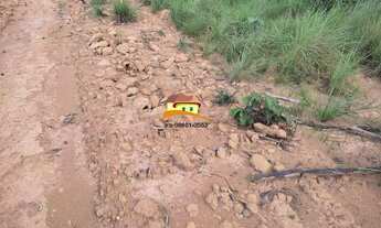 Imagem 6: Fazenda para Venda, Região produtora consolidada