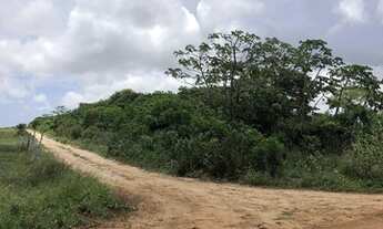 Imagem: Vendo terreno 1000m2 em Cabeceiras, Tibau