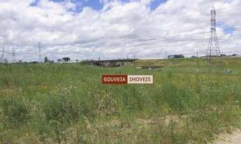 Imagem 7: Terreno Residencial à venda, Cidade Industrial, Curitiba - TE0166