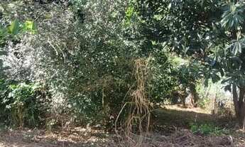 Imagem 4: Chácara 2500 mts com casa 03 quartos e lagoa nos fundos