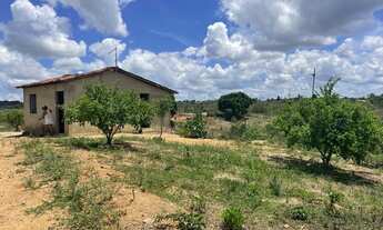 Imagem 3: Sítio perto da barragem da Cidade de carpina