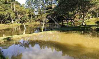 Imagem 6: VENDE - SE CHÁCARA COM 4 ha EM JUQUITIBA-SP