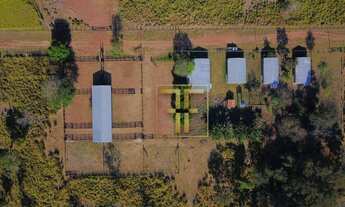 Imagem 2: Fazenda 4926 Alqueires, Santíssima Trindade, MT