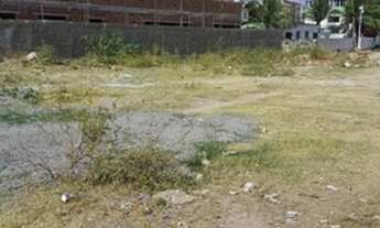 Imagem 5: CM) LOTES EM OLINDA, CASA CAIADA C/720M2 EM RUA CALÇADA