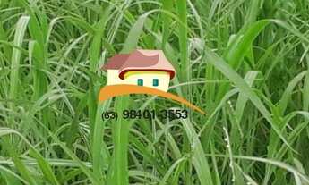 Imagem 6: Fazenda para Venda, Região produtora em expansão