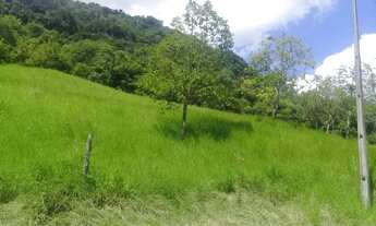 Imagem 3: Chácara no Interior de Taquara divisa com São Chico, consulte entrada e parcelamento