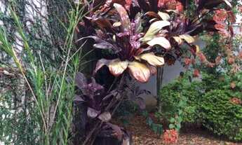 Imagem 3: CASA TÉRREA - BROOKLIN - SP