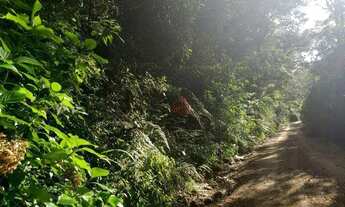 Imagem 4: Terreno no bairro Chapadão em Canela!