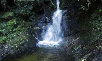 Imagem 5: Vendo chácara localizada no Sertão dos Coqueiros