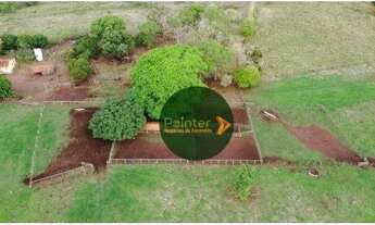 Imagem 4: Fazenda à venda, 1.011 hectares por R$ 18.000.000 - Zona Rural - Doverlândia/GO