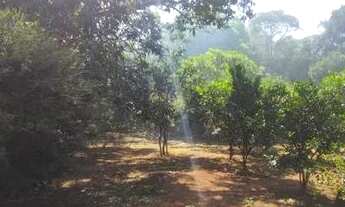 Imagem 5: Fazenda/Sítio/Chácara para venda com 200 metros quadrados com 3 quartos