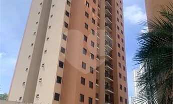 Imagem: São Paulo - Apartamento Padrão - MORUMBI