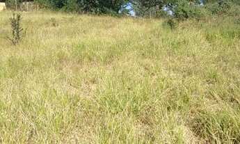 Imagem 6: Chácara 3 mil metros/condomínio em Igarapé