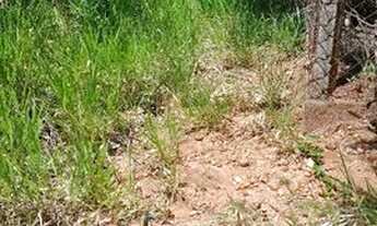 Imagem 6: Terreno em bauru, 1000 metros,(vale do igapó)