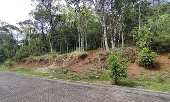 Imagem 6: Terreno no Loteamento Terras Altas em Gramado!