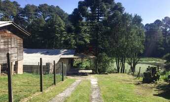 Imagem 3: Casa no Centro de Canela!