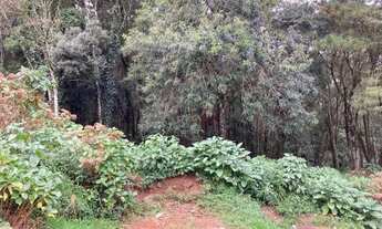 Imagem 3: Terreno no bairro Prinstrop em Gramado!