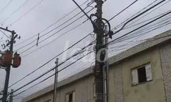 Imagem 3: São Paulo - Casa Padrão - Cursino