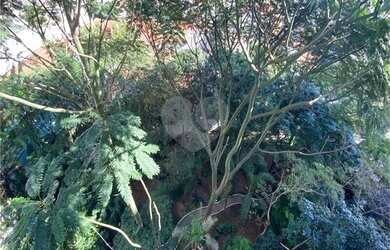 Imagem 9: Apartamento Sta Teresinha