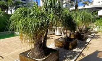 Imagem 4: Apartamento com 4 dormitórios à venda, 297 m² no Meireles