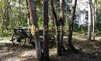 Imagem 7: TERRENO/LOTE CONDOMINIO INCONFIDENTES - OURO PRETO/MG