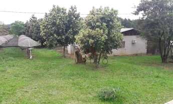 Imagem 5: Sítio na Estrada Picada 48 em Ivoti!