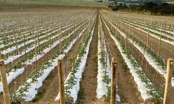 Imagem 3: Fazenda de 260 alq em Corumbá-Go