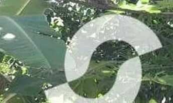 Imagem 5: Terreno à venda, 750 m² por R$ 350.000,00 - Serra Grande - Niterói/RJ