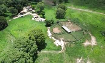 Imagem: VENDO FAZENDA PANTANAL POCONÉ 4.263 HAC