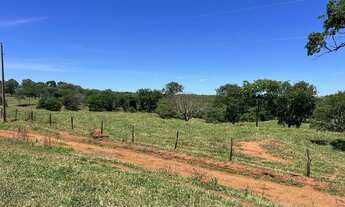 Imagem 6: Fazenda 37 alqueires