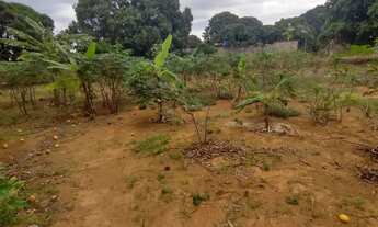 Imagem 4: Vendo terreno no Incra 9 gleba 4 Ceilândia Norte de 5 mil metros