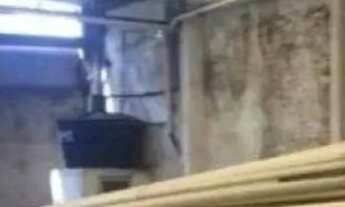 Imagem 7: Cambuci, Galpão Comercial à venda de 500m²