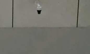 Imagem 5: Alugo apto/kitnet para 1 pessoa solteira no Bairro Vila Nova Joinville