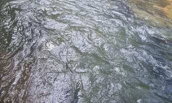 Imagem 3: Sitio 22 hectares valor 195.000