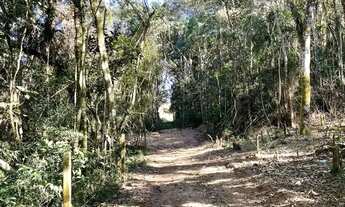 Imagem 6: Lote aclive com vista ampla