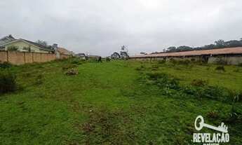 Imagem 3: Área à venda, 6050 m² por R$ 1.800.000,00 - Campo Largo da Roseira - São José dos Pinhais