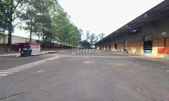 Imagem 2: Barracão para alugar na região norte de Londrina