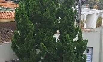 Imagem 6: PROPRIEDADE DE ALTO PADRÃO PARA ALUGUEL NO SMT