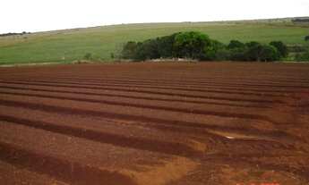 Imagem: Fazenda em lavoura 56 alqueires Anápolis-go