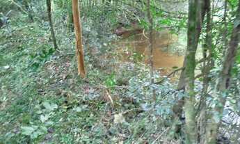 Imagem 5: Chácara com tanque de peixe em quitandinha