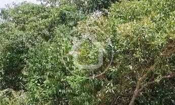 Imagem 2: QUINTAS DO BRUMADO