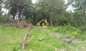 Imagem 5: TERRENO EM CAMPINA GRANDE DO SUL