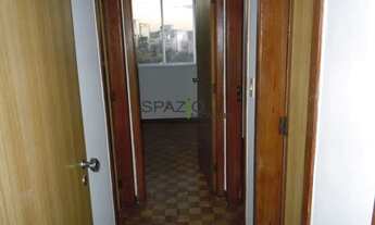 Imagem 7: BELO HORIZONTE - Padrão - Manacás