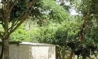 Imagem 2: Sítio em MG 432 KM 15.7 - Caracóis de Baixo - Esmeraldas/MG