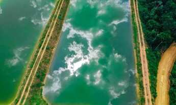 Imagem 7: Fazenda 1.000 x 1.420 na estrada de Manacapuru km 27 16.500.001,00