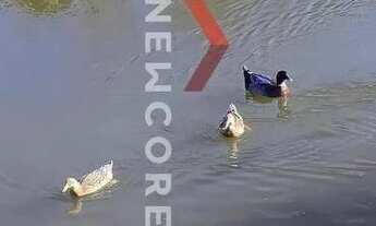 Imagem 5: Lote em condomínio em Estrada Bento Osvaldo Trisch - Pedancino - Caxias do Sul/RS